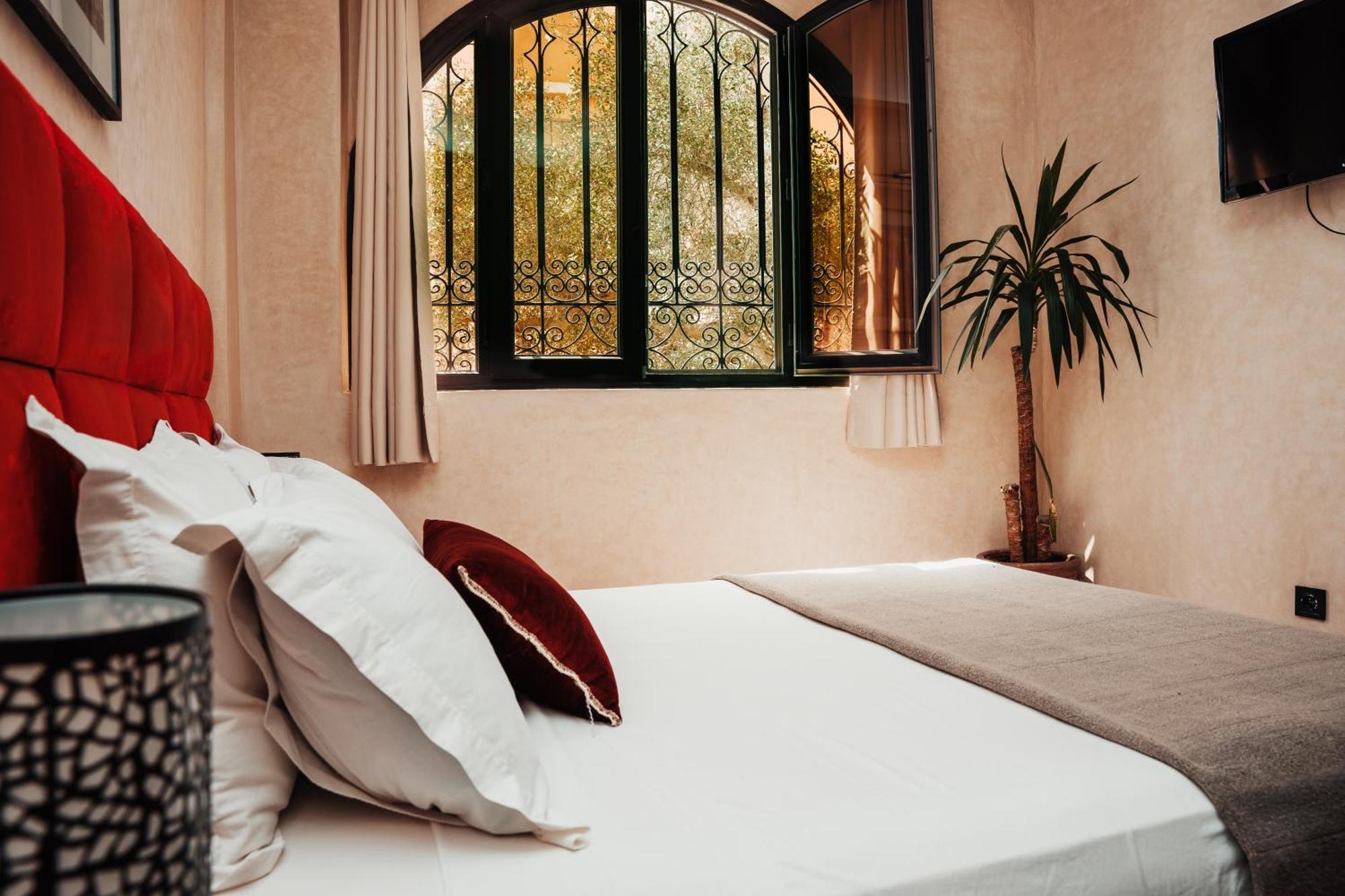 Auberge Riad Dlim Tamraght מראה חיצוני תמונה